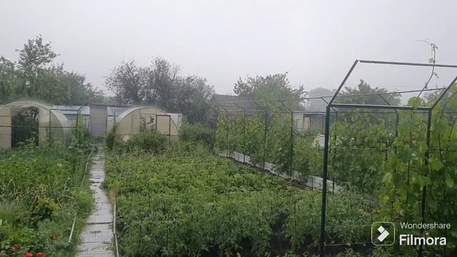 248. Как прополоть дачный участок за 8 минут. смотреть онлайн