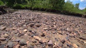 №39 Минералы. Прогулка за сердоликами 2024