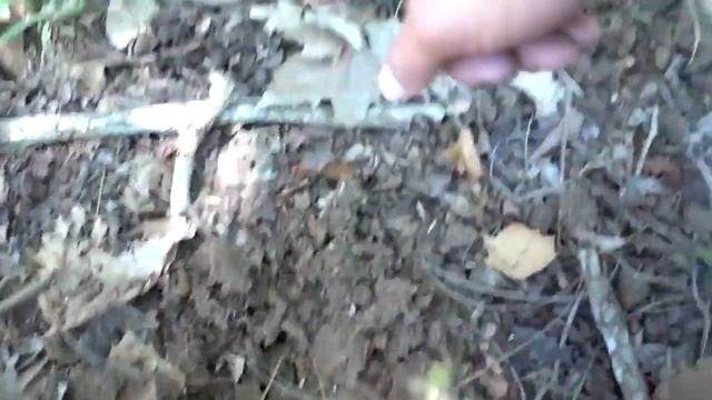 Как глубоко в землю входят пули Разрушительное ранчо Перевод Zёбры смотреть онлайн