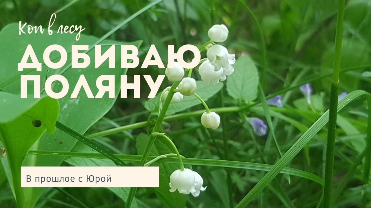 Коп в лесу. Добиваю поляну с монетами. смотреть онлайн