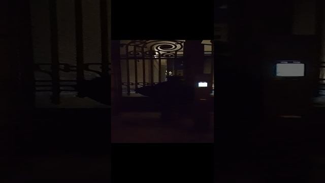 1000009919.mp4 смотреть онлайн
