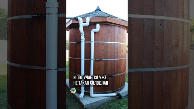 Бочка для автополива чем декорировать? смотреть онлайн