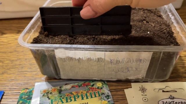 ЭТИ ЦВЕТЫ СЕЮ ТОЛЬКО ТАК, ДРУЖНЫЕ ВСХОДЫ 100% смотреть онлайн