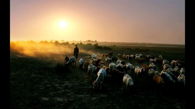 Баллада о четырех братьях (Читает Василий Поляков) смотреть онлайн