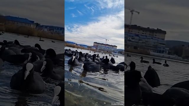 Горячий Ключ город (фильм) смотреть онлайн