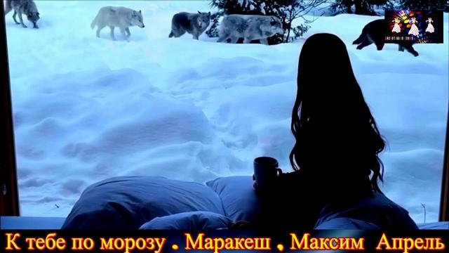 К ТЕБЕ ПО МОРОЗУ. МАРАКЕШ МАКСИМ . АПРЕЛЬ.2025 смотреть онлайн