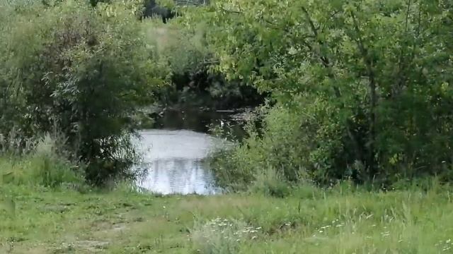 Деревенский дневник очень многодетной мамы. Клюнул жареный петух. смотреть онлайн