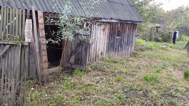 ВЛОГ/Вот такое деревенское утро/Готовлю на печке... смотреть онлайн