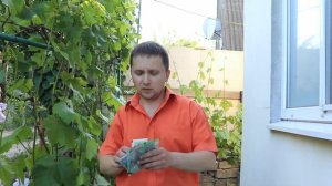 Обработка винограда перед цветением.