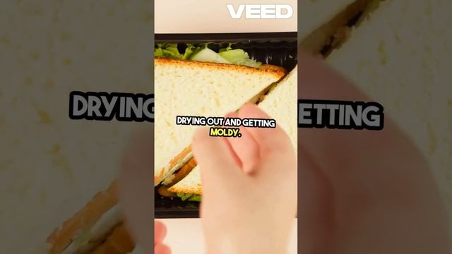 Keep Bread Fresh Use Celery Trick! #factshorts #facts #foodshorts #foodhacks смотреть онлайн