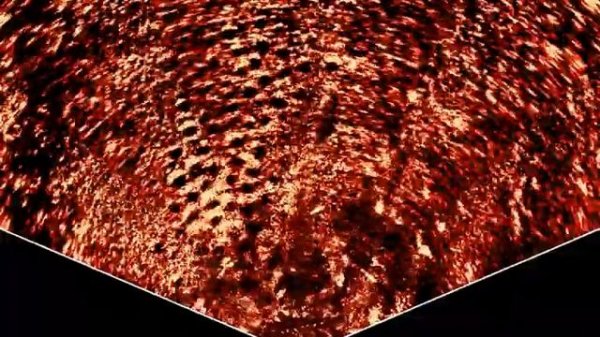 active target scout mode lowrance bluegill bed