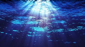 Океан под водой . Успокоит твое тело ,душу, восстановит сон.