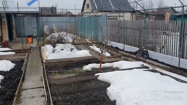 210. Кабачки в ящике. Опрыскиватель отдыхает. смотреть онлайн