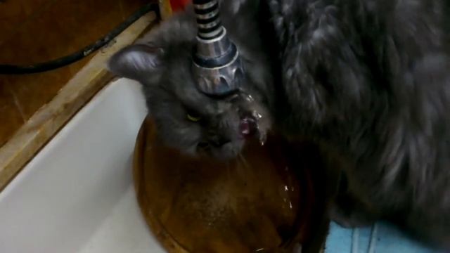 VIDEO0009.mp4 смотреть онлайн