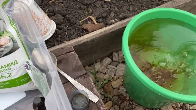 С этой бомбической ПОДКОРМКОЙ томаты и перец активно завяжут! смотреть онлайн