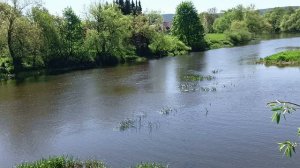 Мария Метлицкая. Алик - прекрасный сын.  Аудиорассказ.