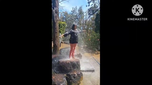Last year's summer vacation was small Coorg and Madikeri#My beautiful memories#Subscribe & like pls смотреть онлайн