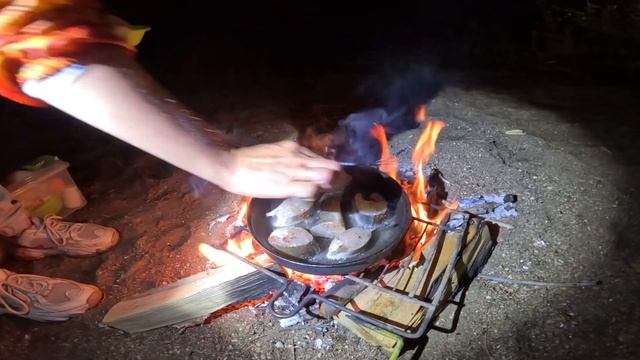 Урал СОМ судак кошка