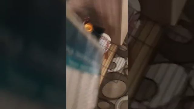 Один день моими глазами смотреть онлайн