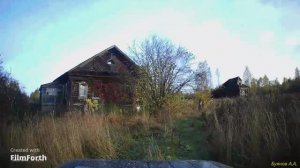 Д. Горюшкино. 11 окт..2022.