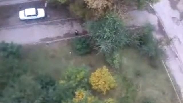 Кидаем презервативы с окна смотреть онлайн