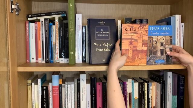 BOOKSHELF TOUR | Parte 5 (y última) смотреть онлайн