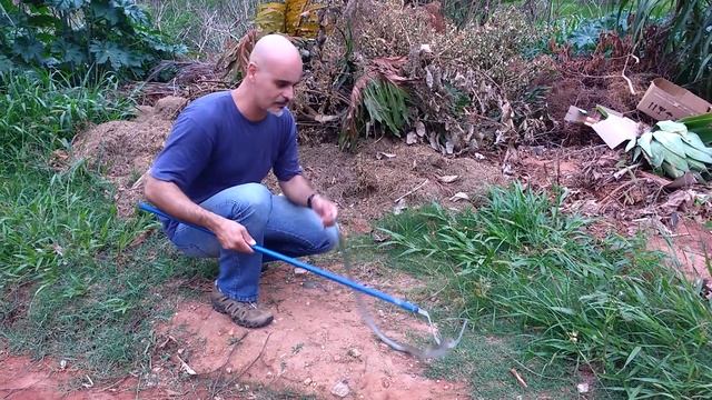 Brookesia Ambiental Apareceu uma cobra em casa e agora смотреть онлайн