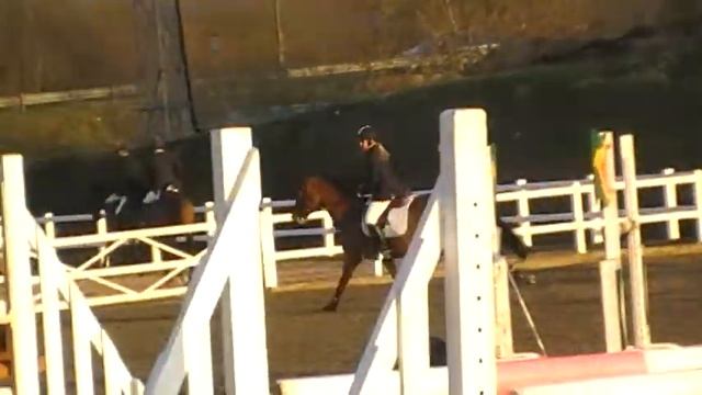 Amy Thomson and Sunshine смотреть онлайн