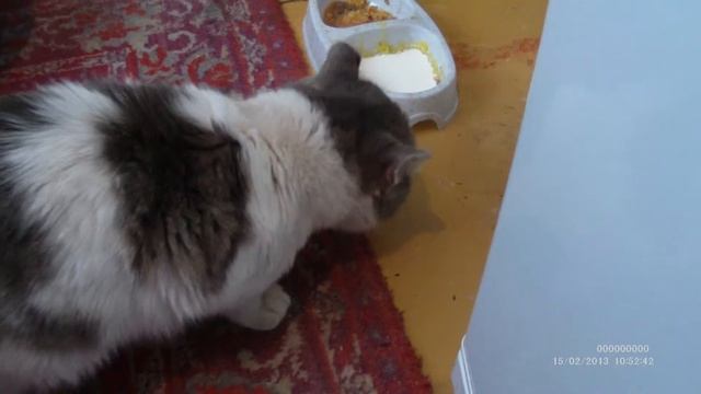 жгучий соус смотреть онлайн