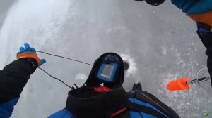 СУДАКА РАЗДРАЖАЕТ ЭТА РАСЦВЕТКА. ЛОВЛЯ СУДАКА НА РАТЛИНЫ