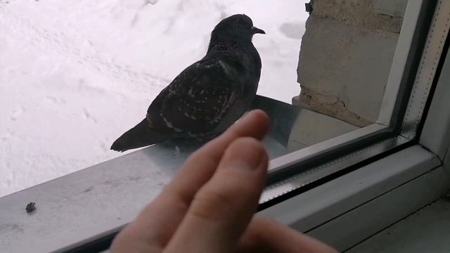 Ну типа изменится да масса смотреть онлайн