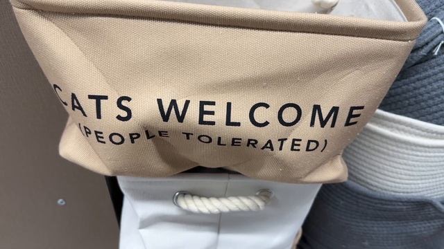 Aldi Finds & Must Haves Week of 3/8 - 3/14 (WITH PRICES) смотреть онлайн