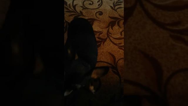 Знакомство со мной я ем блин смотреть онлайн