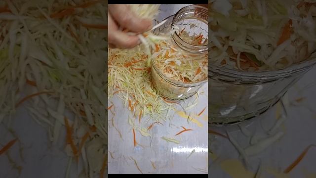 Квашеная капуста быстро и просто смотреть онлайн