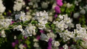 10 апреля Иларион Новый. Что можно, нельзя делать по народным приметам. Обряды и традиции 10 апреля