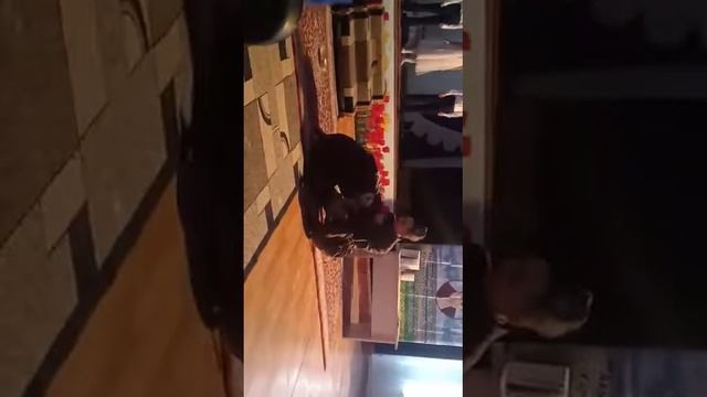 "Қайран жеңгем" Тұрсынғали Нұрсұлтан смотреть онлайн