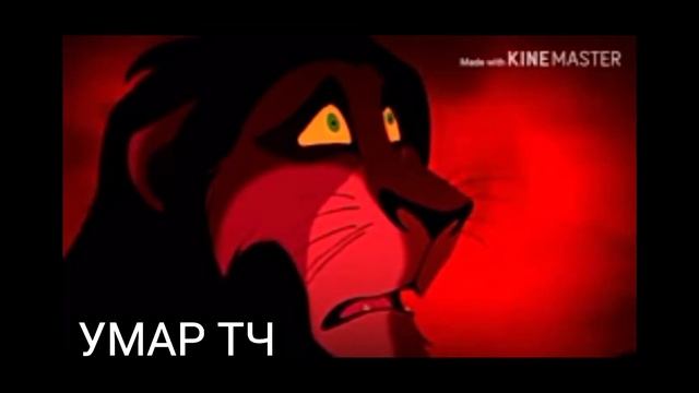 Песня дикая львица ты моя царица -🦁Сиба ,Кову🦁 (Music Video) смотреть онлайн