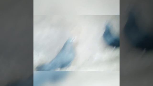 Серпатые голуби🕊️. Голубятня смотреть онлайн