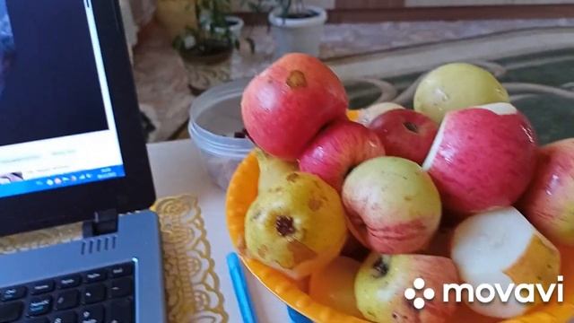 6 декабря лаваш сухари.Дорогие знакомые блогеры вам всегда лайки.Идем за покупками.Фикус.Иду в апте смотреть онлайн