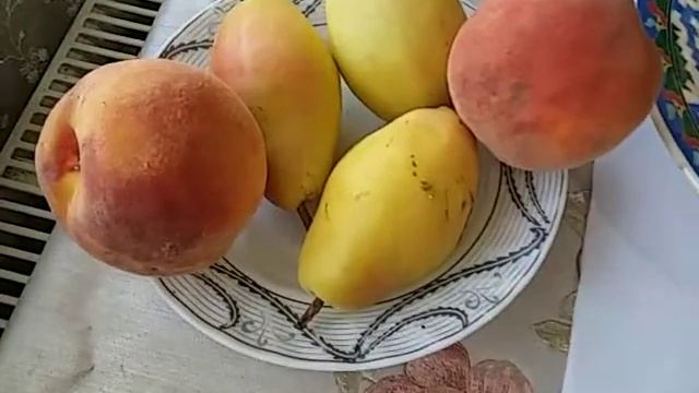 СКРОМНЫЙ КРЕСТЬЯНСКИЙ ОБЕД В ОНЛАЙН РЕСТОРАНЕ АХМЕДА ЗУРАБОВА !ВАРЕНИКИ С ТВОРОГОМ С ЗЕЛЕНЬЮ ! смотреть онлайн