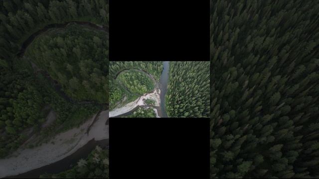 небольшие полеты и видео природы смотреть онлайн