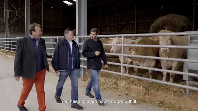 EPISODE 1 THE WORLD'S MOST EXPENSIVE BEEF смотреть онлайн