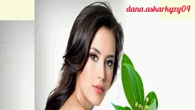 Қарапайым ЛАВР жапырағының пайдасы көп екен. Ұйқыға,шашқа тб смотреть онлайн