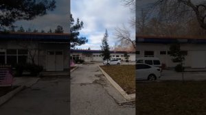 Фергана Киргили Широтка Пеликаны 8 янв 25г