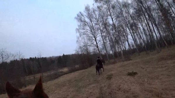 70 километровый поход на лошадях