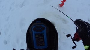 СУДАК ИЗ ПОД БЕЛОЙ С ПРАКТИКОМ 8 | ЛОВЛЯ СУДАКА НА VIB