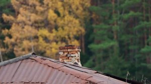 НАШ ДОМ В ДЕРЕВНЕ ПРЕОБРАЖАЕТСЯ | НОЧНАЯ ПРОГУЛКА В ЛЕС С СОБАКОЙ | ДОМАШНИЙ СЫР МОЦАРЕЛЛА