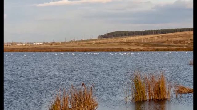 Нижнекамск Осень 2016г смотреть онлайн