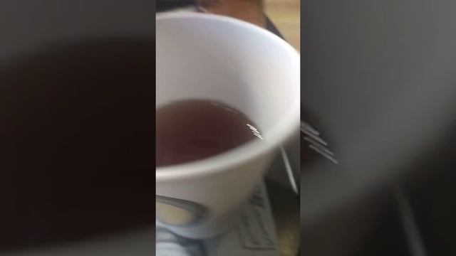 Ем шаурму и сырники. смотреть онлайн