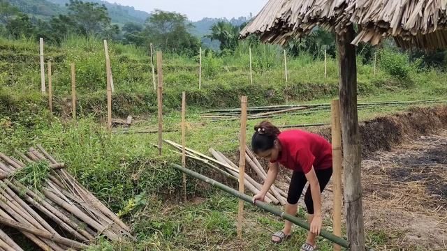 The Wife Panicked When Her Ex-husband Discovered The Whereabouts Of Mother And Child